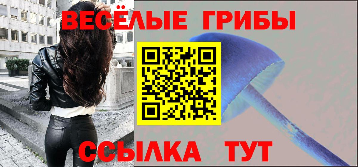 Псилоцибиновые грибы мицелий Родники
