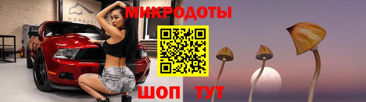 Псилоцибиновые грибы прущие грибы  Вход с VPN  Родники 